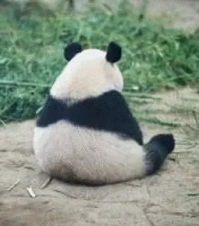 Sticker from Panda @stickersb2b