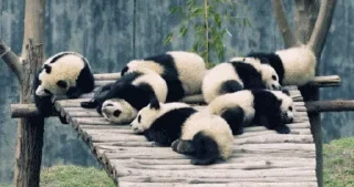 🙁 emoji Panda @stickersb2b Telegram sticker 24 of 104