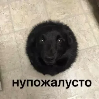 Sticker from я тебя люблю