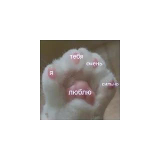 Sticker from я тебя люблю. .  .