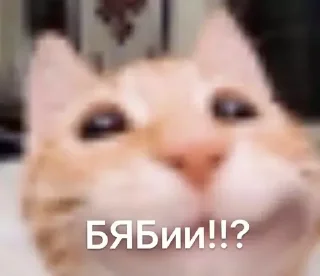 Sticker from я тебя люблю