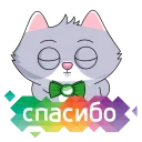 😌 emoji Сберкот и Куся :: @stickroom Telegram sticker 17 of 52