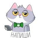 😐 emoji Сберкот и Куся :: @stickroom Telegram sticker 10 of 52