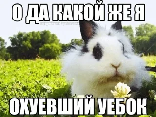 🌟 emoji коты и т.д Telegram sticker 20 of 120