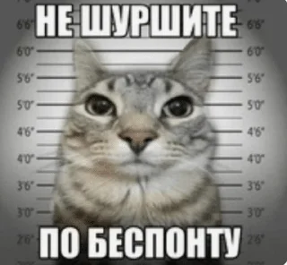 🌟 emoji коты и т.д Telegram sticker 7 of 120