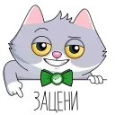 👇 emoji Сберкот и Куся :: @stickroom Telegram sticker 13 of 44