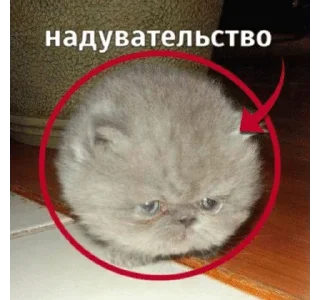 🌟 emoji коты и т.д Telegram sticker 8 of 120