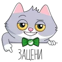 🥴 emoji СберКот и Куся @TgSticker Telegram sticker 16 of 50