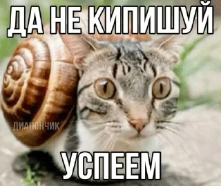 🌟 emoji коты и т.д Telegram sticker 16 of 120