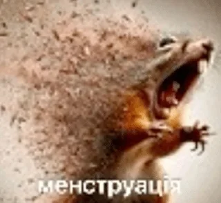 🌟 emoji коты и т.д Telegram sticker 21 of 120