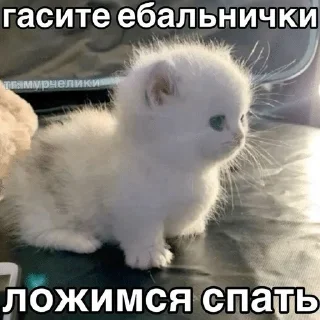 🌟 emoji коты и т.д Telegram sticker 10 of 120