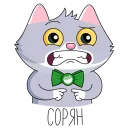 😬 emoji Сберкот и Куся :: @stickroom Telegram sticker 19 of 52