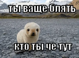 🌟 emoji коты и т.д Telegram sticker 19 of 120