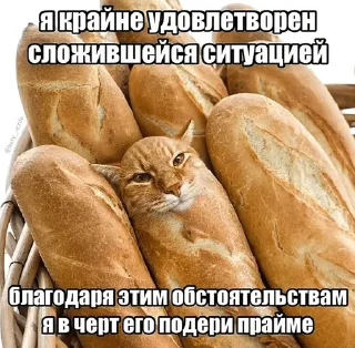 🌟 emoji коты и т.д Telegram sticker 22 of 120