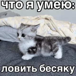 🌟 emoji коты и т.д Telegram sticker 11 of 120