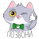 ☎️ emoji Сберкот и Куся :: @stickroom Telegram sticker 5 of 52