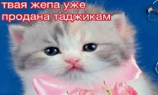 Sticker from Mem