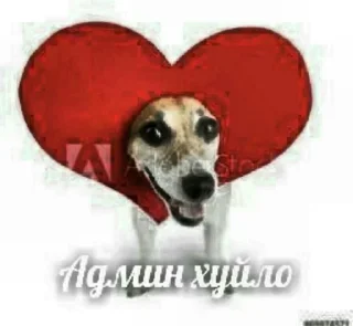 Sticker from Адская дрочильня