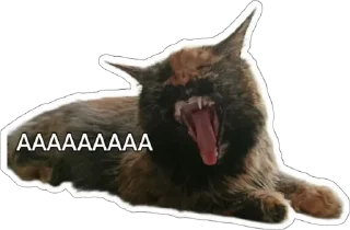 😤 emoji Пушистые письки Telegram sticker 21 of 37