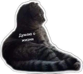 🤓 emoji Пушистые письки Telegram sticker 5 of 37