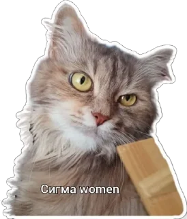 🤩 emoji Пушистые письки Telegram sticker 6 of 37