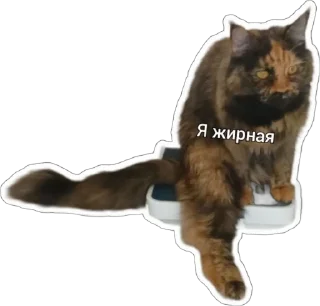 😛 emoji Пушистые письки Telegram sticker 19 of 37