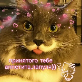 Sticker from На все случаи жизни 2.0