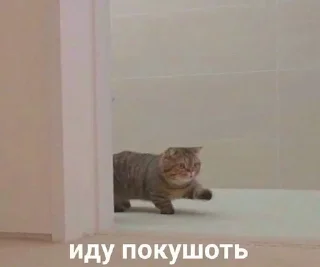 Sticker from На все случаи жизни 2.0