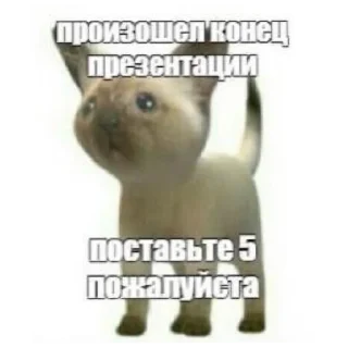 🖼 emoji Котята автор:@ 🐈‍⬛💣📓🎱🔌 Telegram sticker 18 of 51