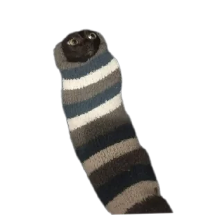 🧥 emoji Котята автор:@ 🐈‍⬛💣📓🎱🔌 Telegram sticker 8 of 51