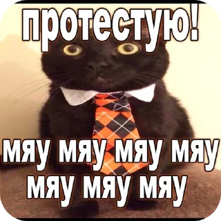🐱 emoji Котята автор:@ 🐈‍⬛💣📓🎱🔌 Telegram sticker 21 of 51