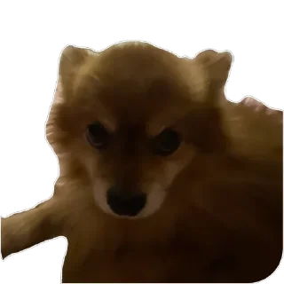 🫥 emoji ко ка Telegram sticker 8 of 26