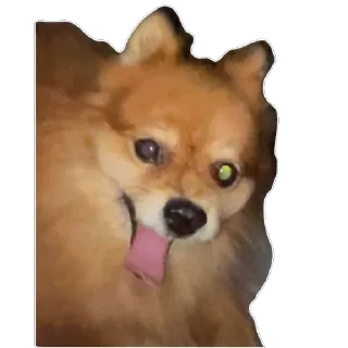🫥 emoji ко ка Telegram sticker 12 of 26
