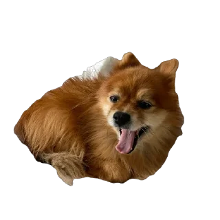 🫥 emoji ко ка Telegram sticker 17 of 26