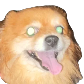 🫥 emoji ко ка Telegram sticker 14 of 26