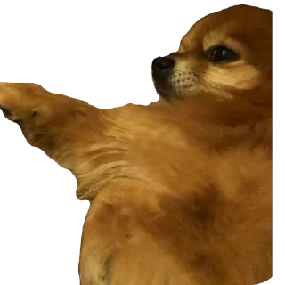 🫥 emoji ко ка Telegram sticker 16 of 26