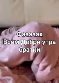 🙈 emoji Лучшие стикеры: @animstiker Telegram sticker 7 of 50