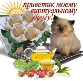 😼 emoji Мемус Telegram sticker 14 of 120