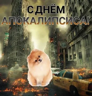 💥 emoji Мемус Telegram sticker 13 of 120