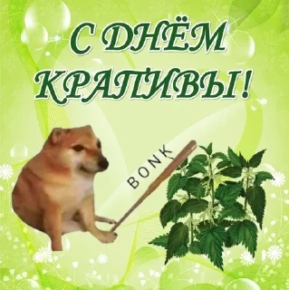 Sticker from Мемус