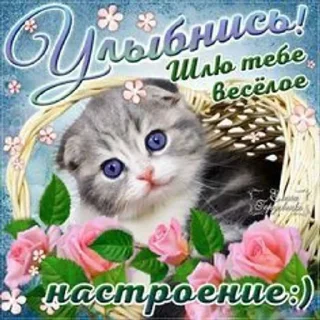 😄 emoji Мемус Telegram sticker 20 of 120