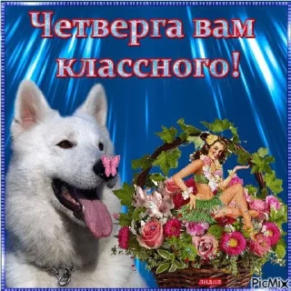 ☺️ emoji Мемус Telegram sticker 22 of 120