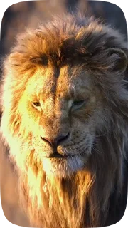 🦁 emoji @profetjs - Пророческий канал Telegram sticker 13 of 50