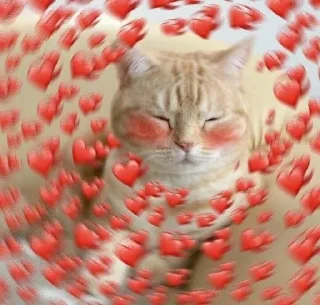 ❤️ emoji СЕМПАЙЧИК 3.0? Telegram sticker 15 of 55