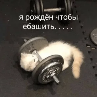 Sticker from Ъ