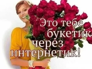 🤩 emoji киця рулит @kittikut @TgEmodziBot Telegram sticker 24 of 120