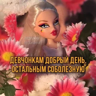 🤩 emoji киця рулит @kittikut @TgEmodziBot Telegram sticker 20 of 120