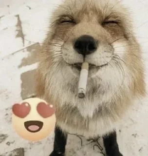 😶‍🌫️ emoji ꧁ঔৣ☬✞zalupa kentavra✞☬ঔৣ꧂ Telegram sticker 21 of 27