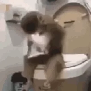 🚽 emoji Еще стикеры - @The_Packo Telegram sticker 15 of 110
