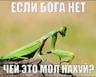 Sticker from Христианские мемы